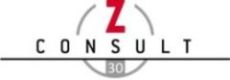 z-Consult Logo